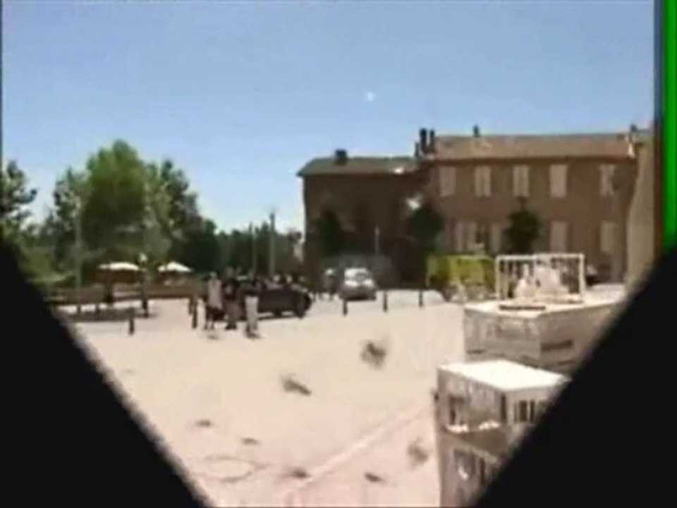 LACHER DE COLOMBES BANDOL MOON EVENTS 0664937284