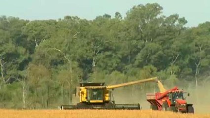 Argentinians link pesticides to illnesses