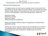 Sap Testing PROFESSIONAL ONLINE TRAINING IN SOUTH AFRICA@magnifictraining.com