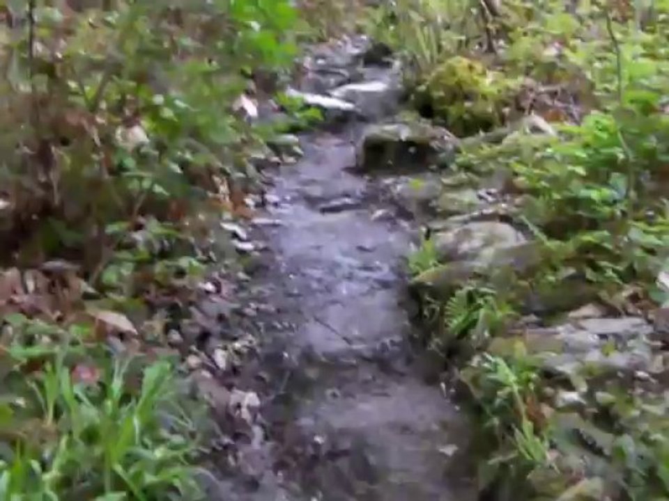 Deuxième pélerinage : du Puy en Velay à Santiago - 8 ème étape : de Conques à Livinhac-Le-Haut.