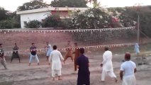 Valley Ball Match at VIllage Kapri Mori Badin Sindh