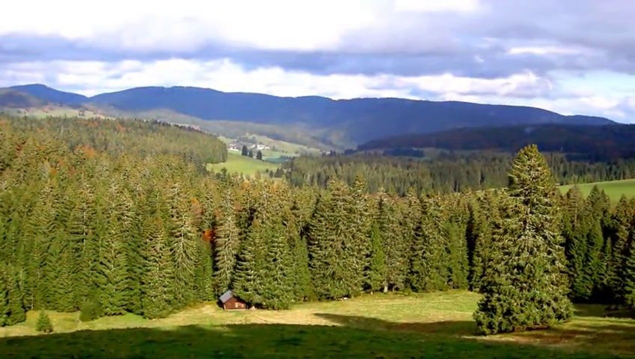 Rütte