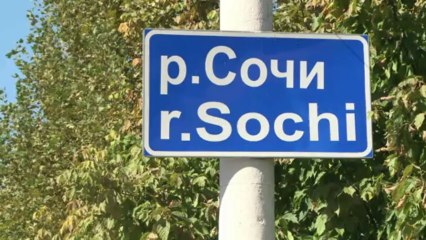 Controversias camino a Sochi 2014