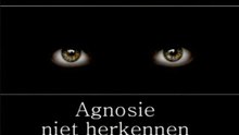 Hersenletsel - (Visuele-) Agnosie en Prosopagnosie