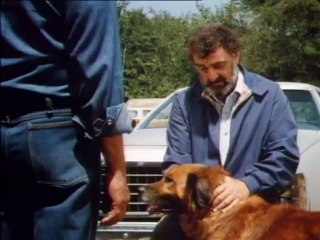 Les routes du paradis(Ep052-Pour l'amour de larry)