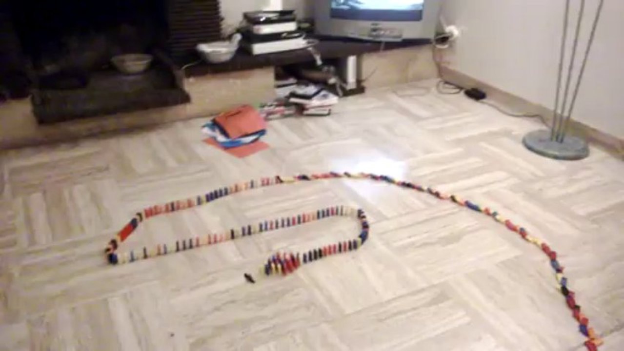 domino express (4)