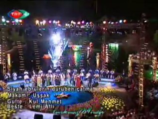 TRT ON NUMARA KORO-Siyah Ebrulerin Duruben Çatma