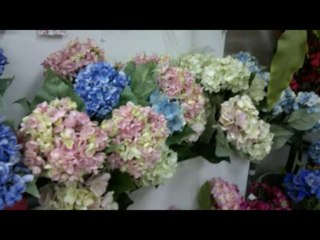 SALMOS CAP 69  - A BIBLIA NA LINGUAGEM DE HOJE