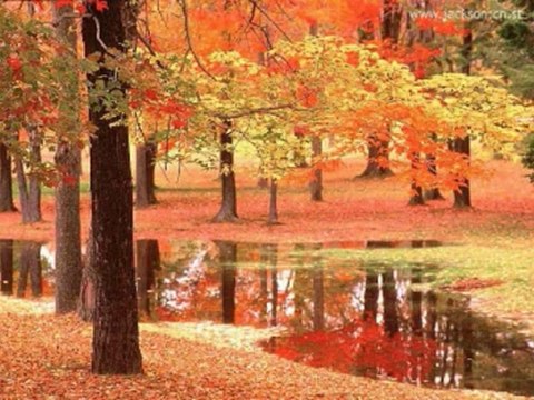 SALMOS CAP 83 - A BIBLIA NA LINGUAGEM DE HOJE