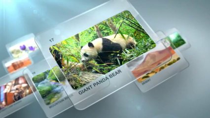 Glass Slides - After Effects Template