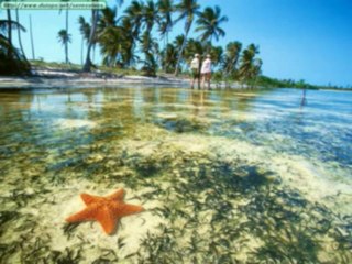 SALMOS CAP 95  - A BIBLIA NA LINGUAGEM DE HOJE