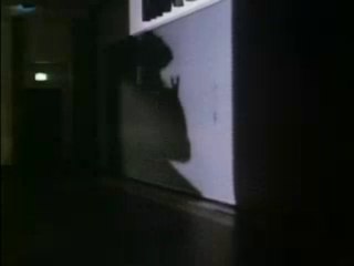 Chopping Mall (trailer)