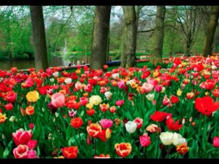 SALMOS CAP 103  - A BIBLIA NA LINGUAGEM DE HOJE