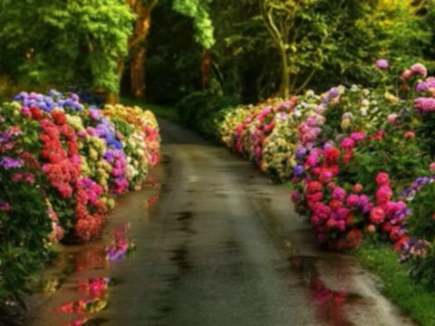 SALMOS CAP 108 - A BIBLIA NA LINGUAGEM DE HOJE