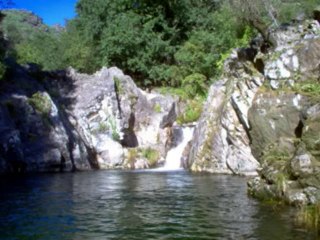 SALMOS CAP  109 - A BIBLIA NA LINGUAGEM DE HOJE