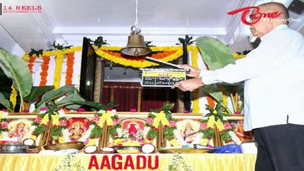 Mahesh Babu Aagadu Movie Opening Stills