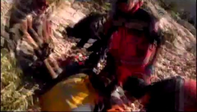 Hayatını, takıldığı ağaç kurtardı