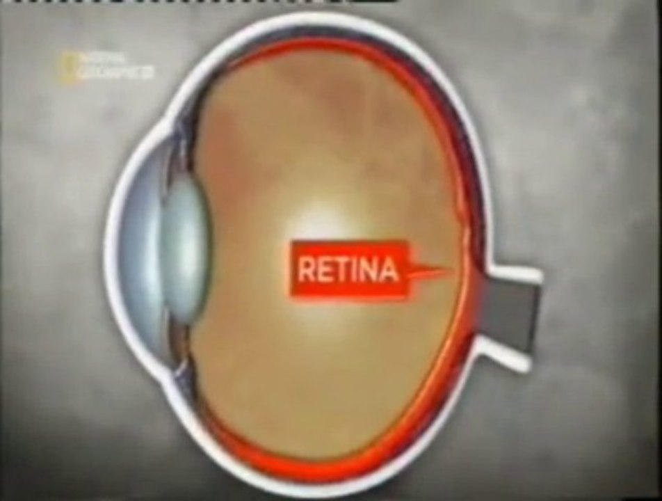 Percepcion 3D: Vision estereoscopica