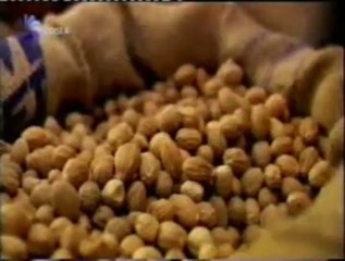 El comercio de las especias (S. XVII): Inglaterra vs. Holanda