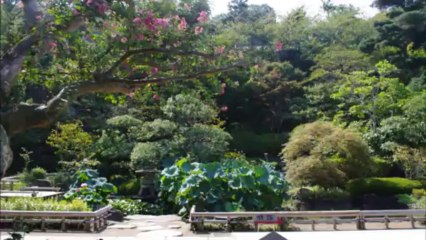 Voyage Japon [21/08/13 - 07/09/13]