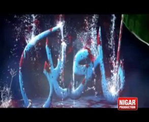 Jis dam sakhi Abbas (as) k bazu, Rizvia Party, Volume 13, 2013