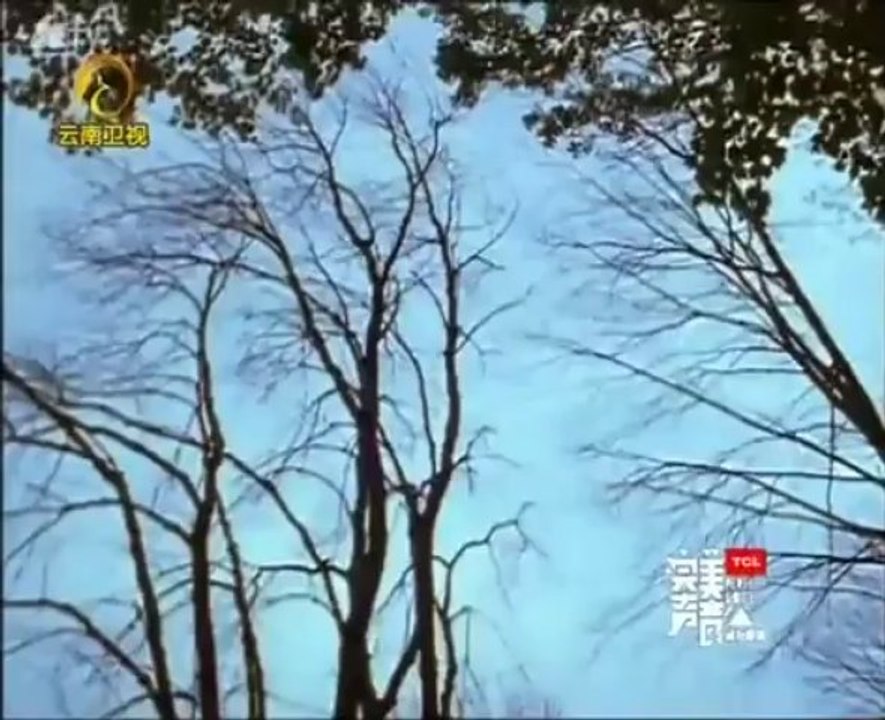 《自然密碼》20120604：動物搗蛋鬼
