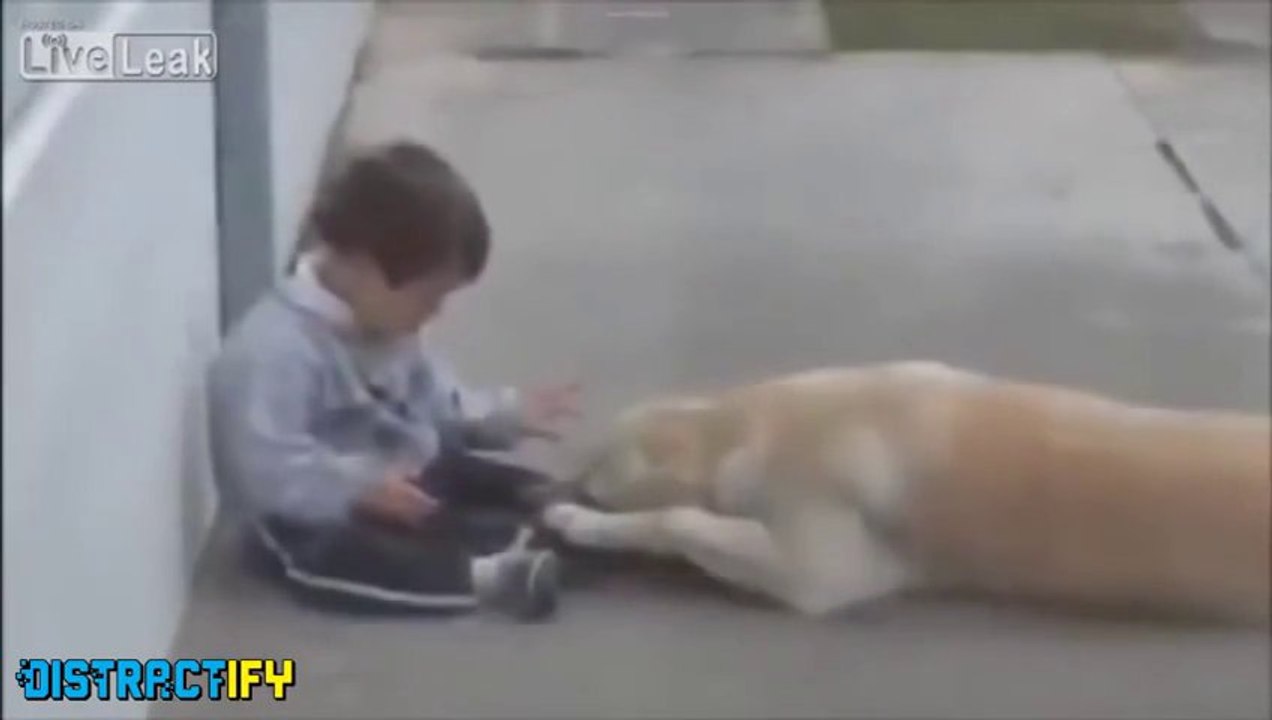 Les CHIENS sont les meilleurs amis de L'Homme.. ça c'est sur!