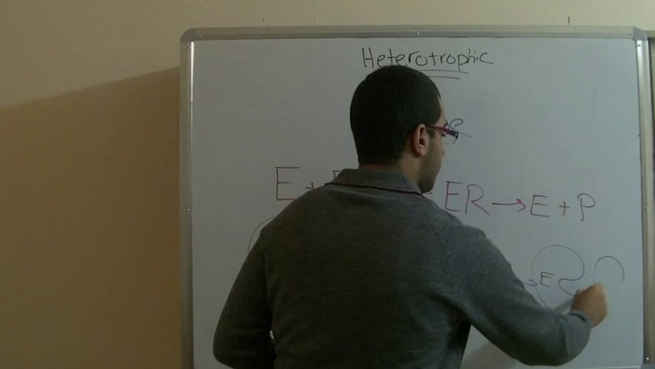 Biology - Chapter 1 - Nutrition - part 18 (Digestion and enzymes) - Abdallah Reda el Sayed - YouTube