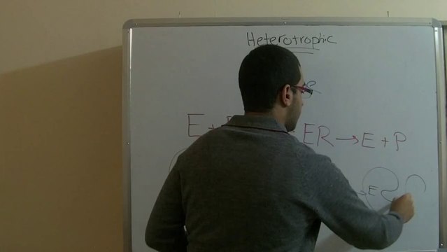 Biology - Chapter 1 - Nutrition - part 18 (Digestion and enzymes) - Abdallah Reda el Sayed - YouTube