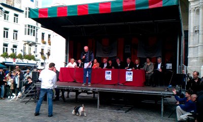 Concours du plus beau chien Zinneke de Bruxelles