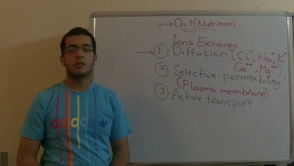 Biology - Chapter 1 - Nutrition - part 6 (Salt absorption) - Abdallah Reda el Sayed - YouTube