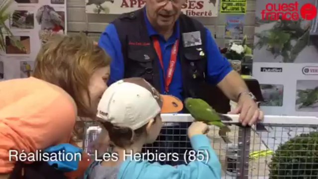 Championnat de France d'ornithologie - Les oiseaux en parade à Saint-Hilaire-de-Loulay