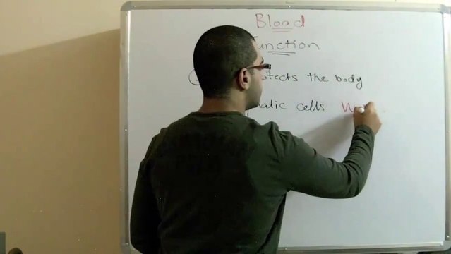 Biology - Chapter 2 - Transport - part 12 (Blood_s function) - Abdallah Reda El Sayed