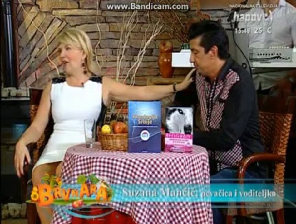 Zoran Pejic Peja -26 .10. 2013. Emisija Brvnara (drugi deo)