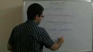 1 Biology - Chapter 4 - introduction to excretion - Abdallah Reda El Sayed - YouTube