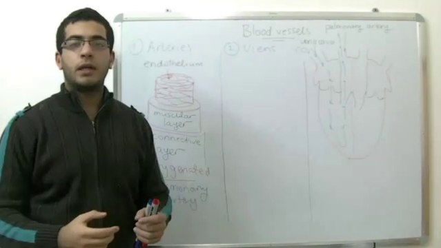 Biology - Chapter 2 - Transport - part 8 (arteries and veins) - Abdallah Reda El Sayed