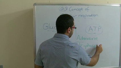 Biology - Chapter 3 - Respiration - part 1 (Cellular respiration) - Abdallah Reda El Sayed