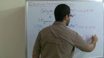 Biology - Chapter 3 - Respiration - part 4 (Electron transport chain) - Abdallah Reda El Sayed - YouTube