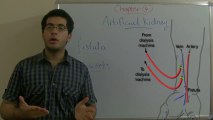6 Biology - Chapter 4 - The artificial kidney (hemodialysis) - Abdallah Reda el Sayed - YouTube