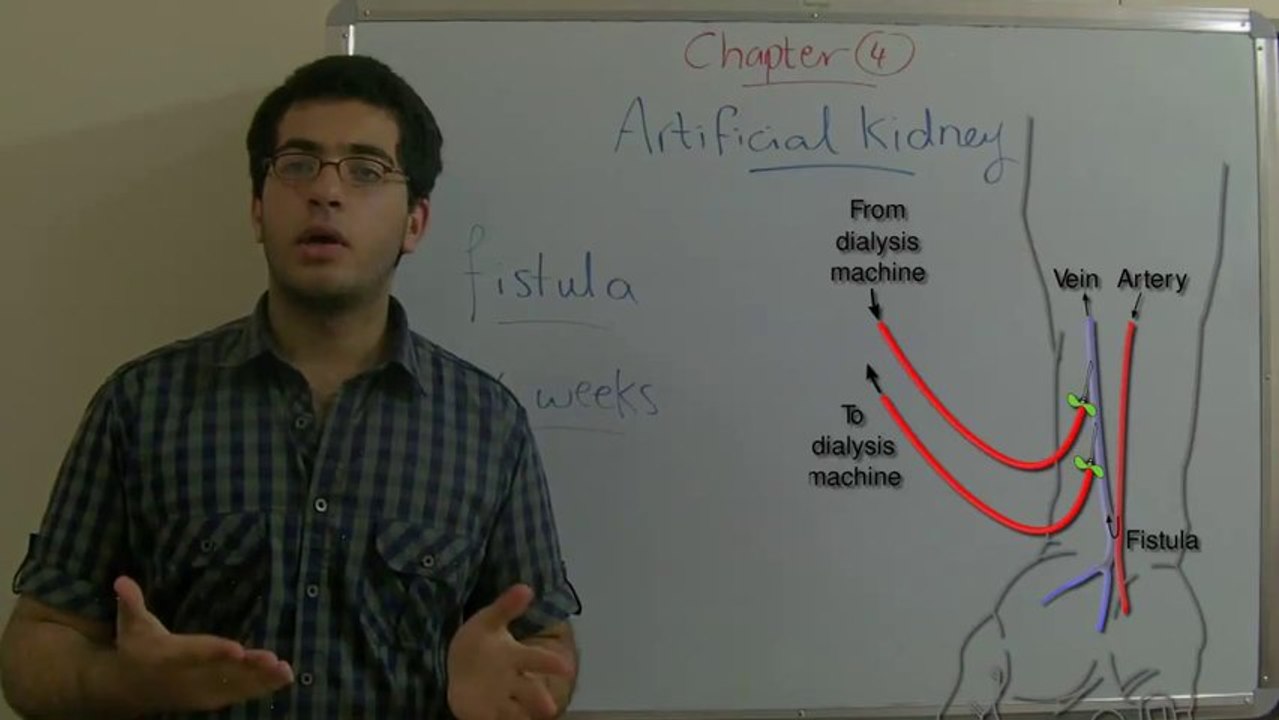 6 Biology - Chapter 4 - The artificial kidney (hemodialysis) - Abdallah Reda el Sayed - YouTube