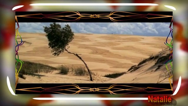 NikaDim - У края неба.