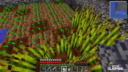 Minecraft de PC: Survival Inverse Ep. 15 "Ya tengo lo que me falta!!"