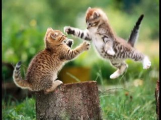 By Bilecikli  Özcan - Oyun Havaları (Sözlü)