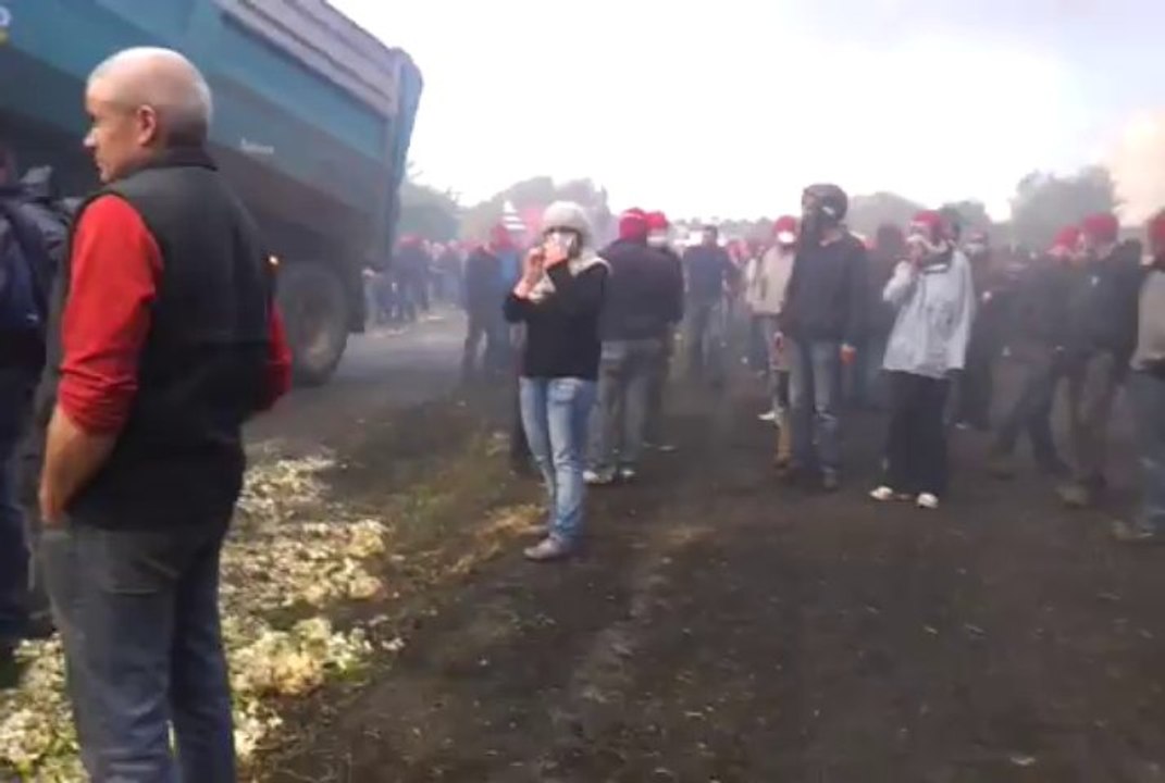 Ecotaxe. Avalanche de choux-fleurs sur les barricades