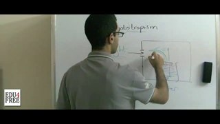3 Biology - Chapter 5 - Phototropism - Abdallah Reda el Sayed