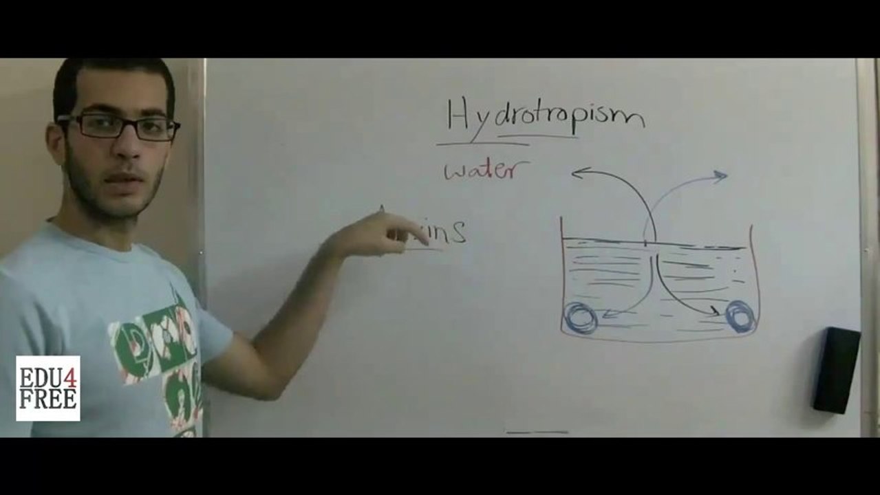 5 Biology - Chapter 5 - Hydrotropism - Abdallah Reda el Sayed