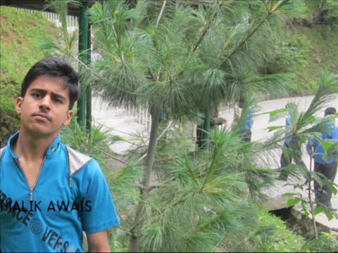 MALIK AWAIS sultanpur