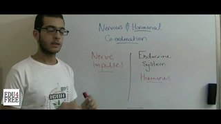 6 Biology - Chapter 5 - Nervous and hormonal coordination - Abdallah Reda el Sayed