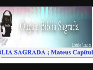 BÍBLIA SAGRADA ; Mateus Capítulo 15