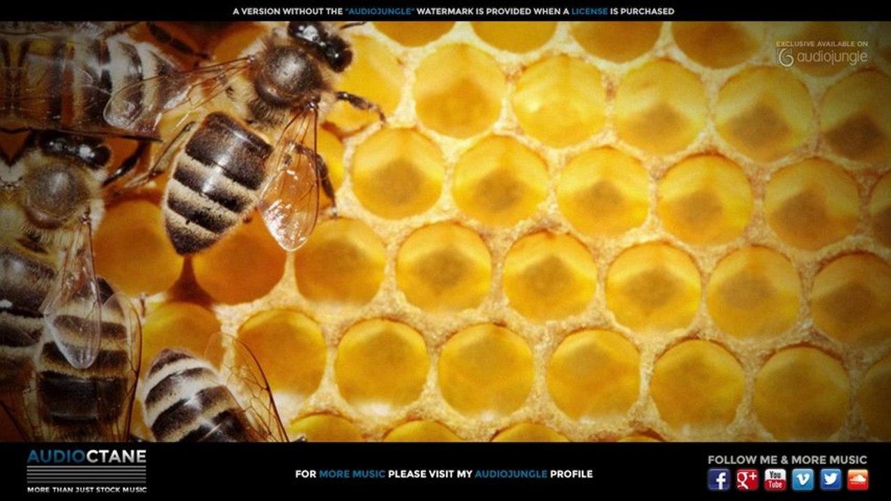 Cinematic Nature Music for Documentaries "Mother Nature" - Royalty-Free -